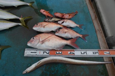 アジアマリンサービス 釣果