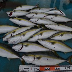 アジアマリンサービス 釣果