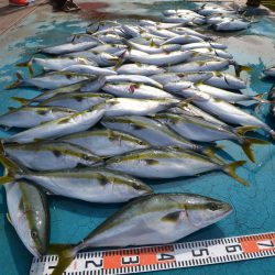 アジアマリンサービス 釣果