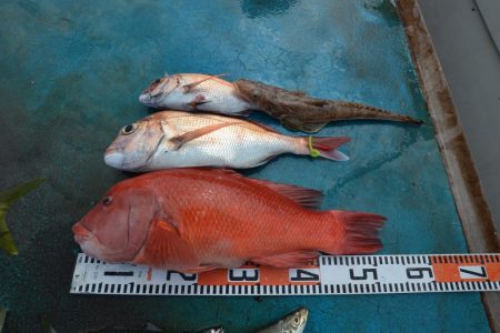 アジアマリンサービス 釣果