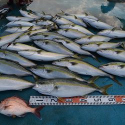 アジアマリンサービス 釣果