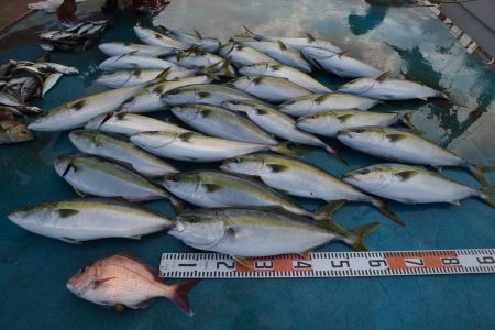 アジアマリンサービス 釣果