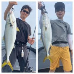 シーマジカル 釣果