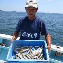まとばや 釣果