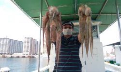 恵比寿丸(兵庫) 釣果