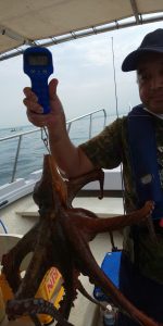 恵比寿丸（兵庫） 釣果