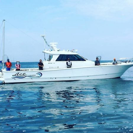 フィッシングボートACE(エース) 釣果