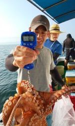 恵比寿丸(兵庫) 釣果