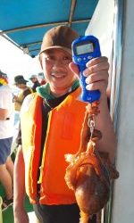 恵比寿丸(兵庫) 釣果