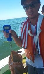 恵比寿丸(兵庫) 釣果