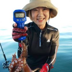 恵比寿丸(兵庫) 釣果