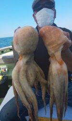 恵比寿丸(兵庫) 釣果