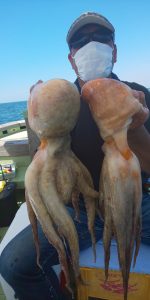 恵比寿丸(兵庫) 釣果