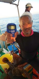 恵比寿丸(兵庫) 釣果