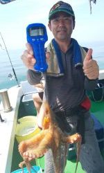 恵比寿丸(兵庫) 釣果