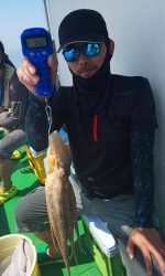 恵比寿丸(兵庫) 釣果