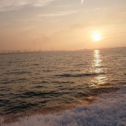 フィッシングボートACE(エース) 釣果