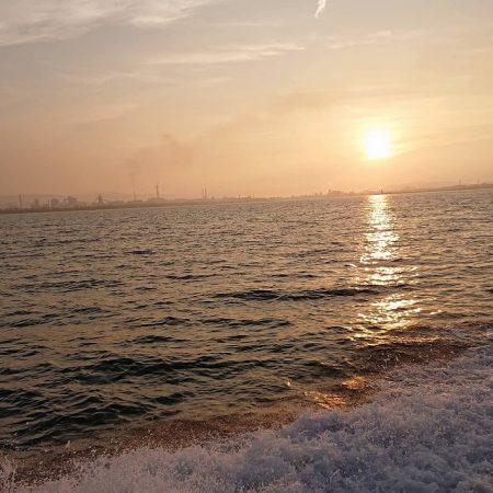 フィッシングボートACE(エース) 釣果