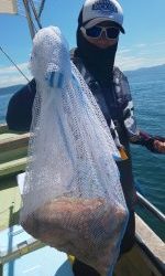 恵比寿丸(兵庫) 釣果