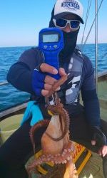 恵比寿丸(兵庫) 釣果