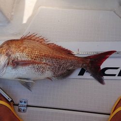 フィッシングボートACE(エース) 釣果