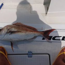 フィッシングボートACE(エース) 釣果