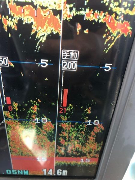 深川 吉野屋 釣果