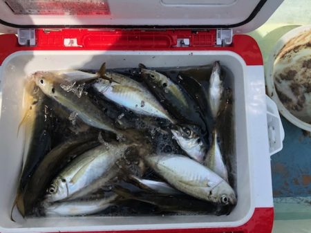 深川 吉野屋 釣果