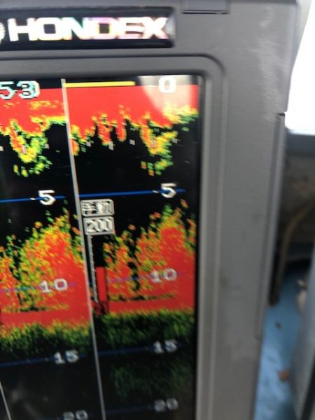 深川 吉野屋 釣果