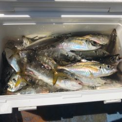 深川 吉野屋 釣果