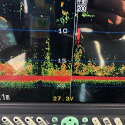 深川 吉野屋 釣果