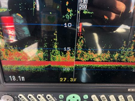 深川 吉野屋 釣果