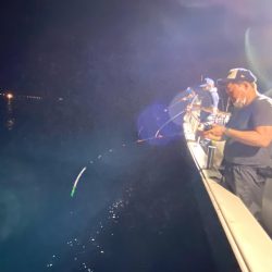 オーシャンズ　京都 釣果