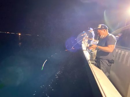 オーシャンズ　京都 釣果