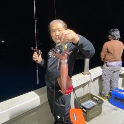 オーシャンズ　京都 釣果