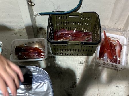 オーシャンズ　京都 釣果