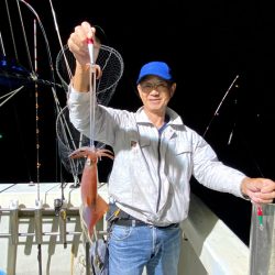 オーシャンズ　京都 釣果