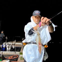 オーシャンズ　京都 釣果