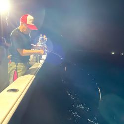 オーシャンズ　京都 釣果