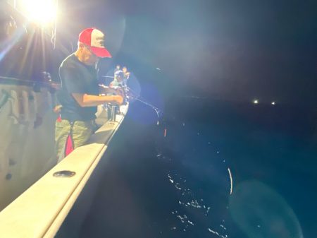 オーシャンズ　京都 釣果