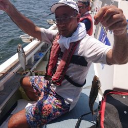 深川 吉野屋 釣果