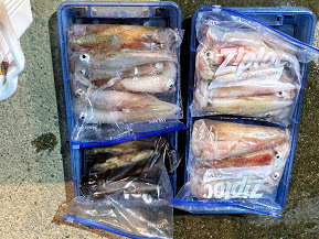 オーシャンズ　京都 釣果