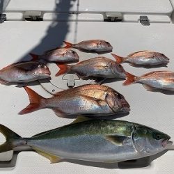 フィシングボートAir(エアー) 釣果