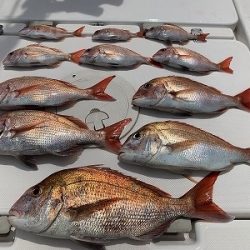 フィシングボートAir(エアー) 釣果