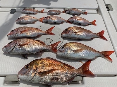 フィシングボートAir(エアー) 釣果