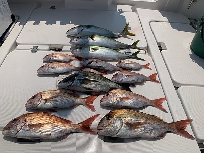 フィシングボートAir(エアー) 釣果