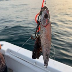 フィシングボートAir(エアー) 釣果