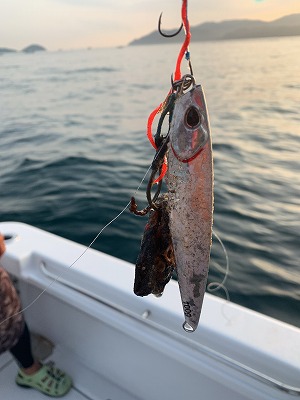 フィシングボートAir(エアー) 釣果