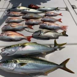 フィシングボートAir(エアー) 釣果