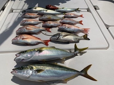 フィシングボートAir(エアー) 釣果